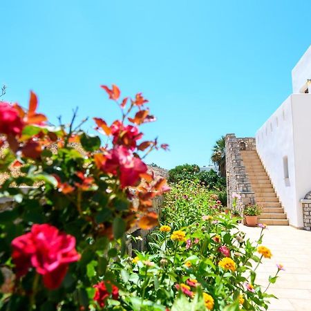 Villa Andromeda Аморгос Экстерьер фото